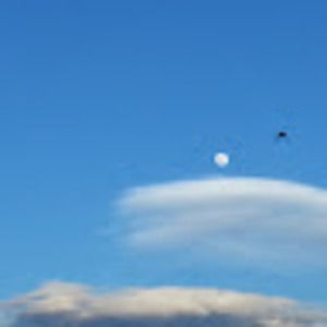 Meet your Posher, Thomas